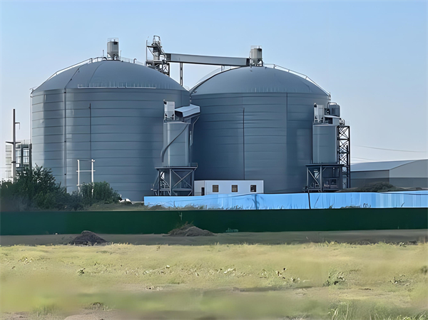 陇南钢板仓建造施工方案详解